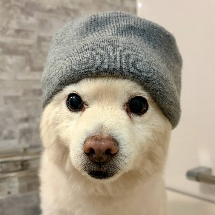 Cf73d634 50f6 4081 9b68 acaf3e591722 1768216990464