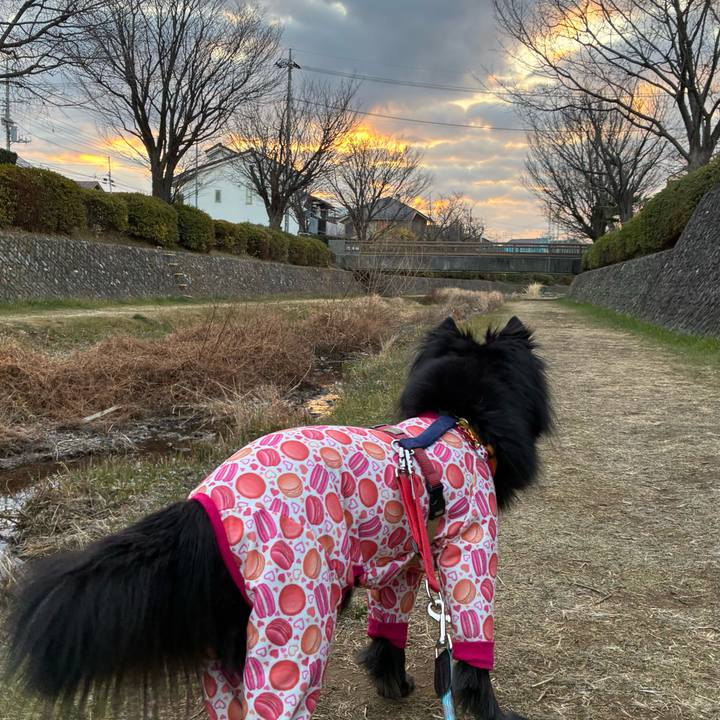 Cf741ab7 da4c 4b20 8517 6fec10ab02ff 1769990078513