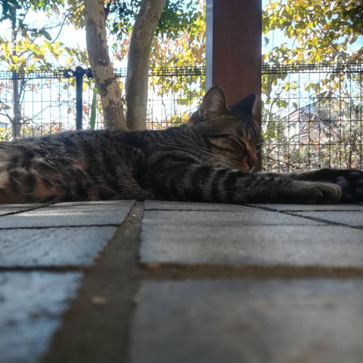 Cf74303c abe9 49dc 93a2 3394ab8c3be0 1538110510671