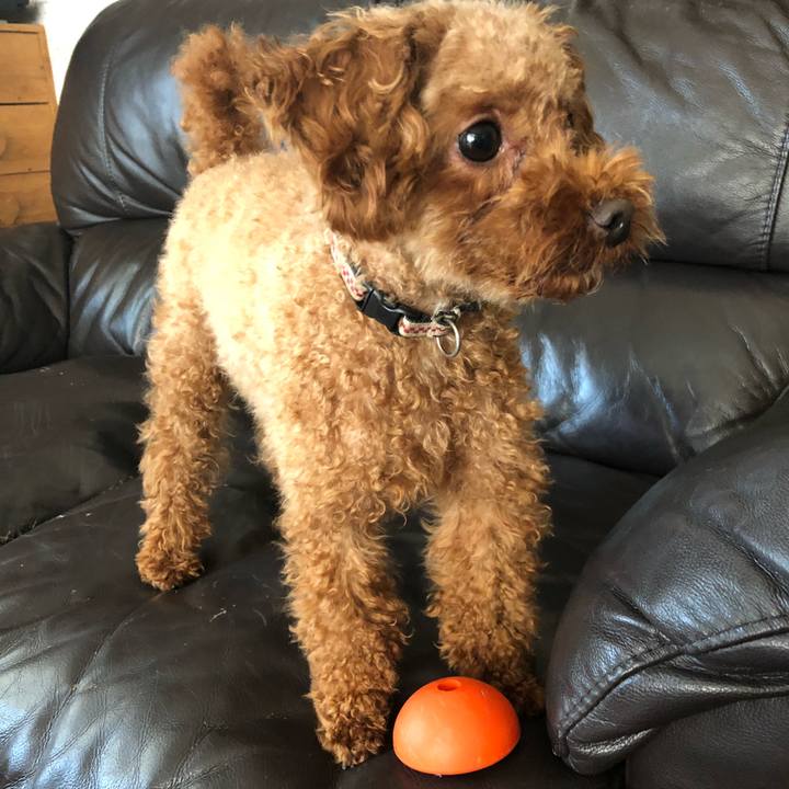 Cf744b13 252e 4686 920a f7375c993b8c 1538873516192