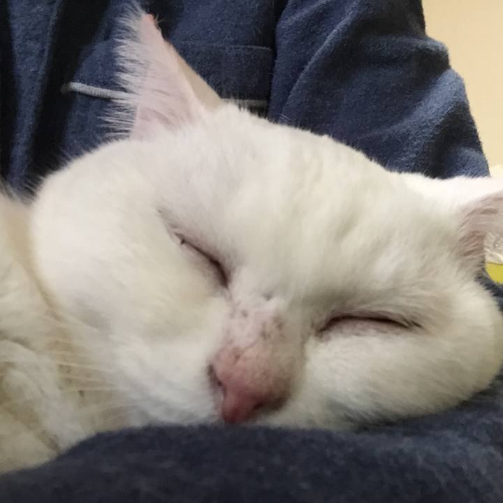 Cf745659 0f36 4cc0 9ff4 4ac9957a8c23 1514555040414