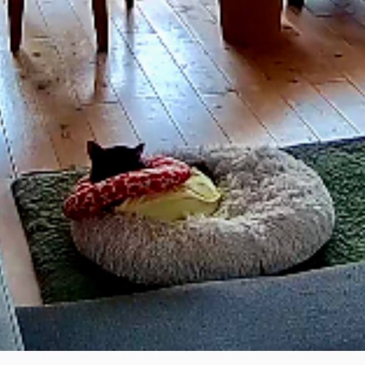 Cf748399 058d 43e1 92c6 3c7a4158453b 1685160601377