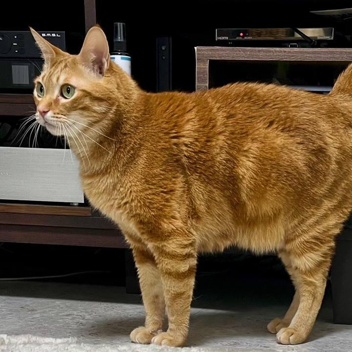 Cf74d11c a81f 4e35 9788 47fe5ca29ff8 1708779345207