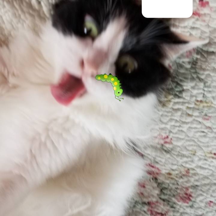 Cf74d346 2fef 4d4c 8732 36d3e667140c 1562749032430