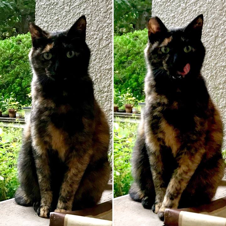 Cf74ef6d 58ac 4587 95e3 5bbeaa8c8e22 1528937881087