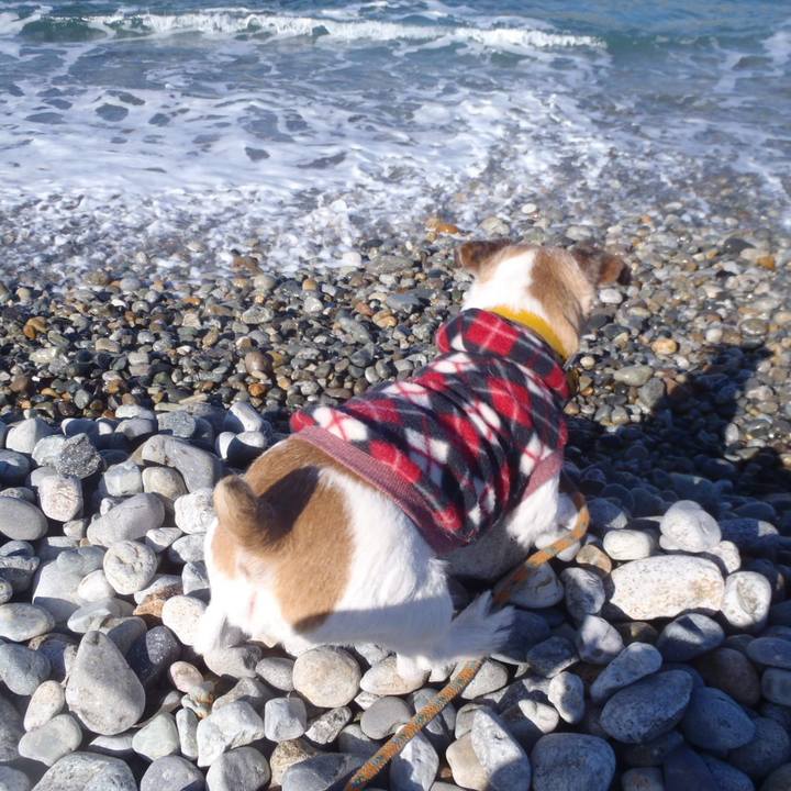 Cf751b90 df1d 4776 9f18 4ef64136cc53 1512297013291