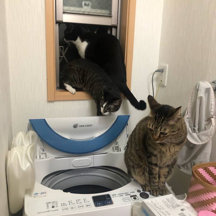 Cf7528fc b9c9 49ad 8795 c6e82eef560a 1589167474656