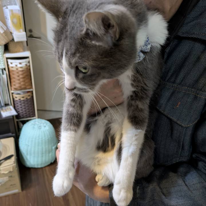 Cf752c25 c62b 435d bd79 5ff339f2041b 1770816096386