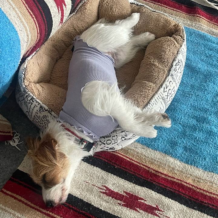 Cf756c87 7512 474d b93f ddd48c9eba5f 1766206746222