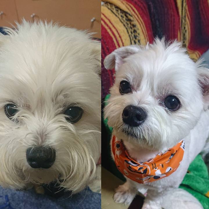 Cf75d4c5 231e 4745 8379 5f1e2e6167ac 1572171277159