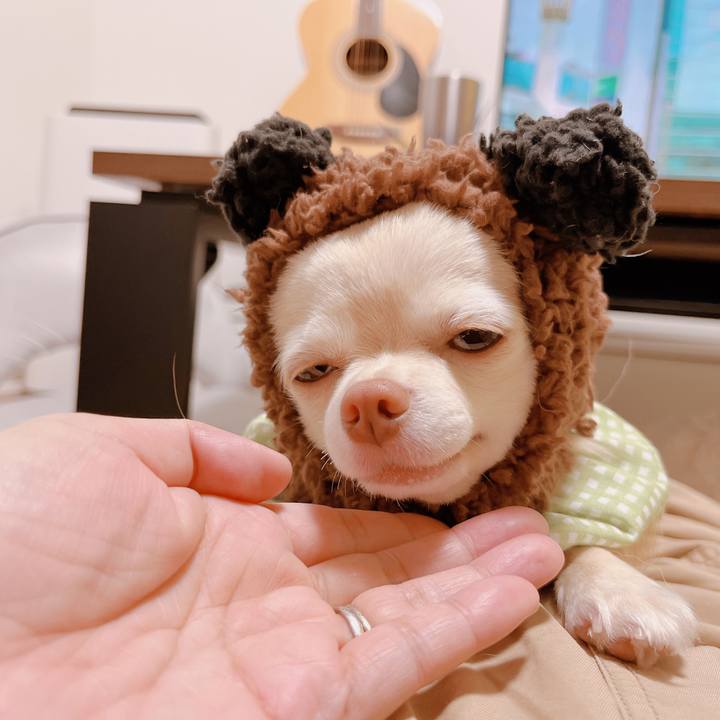 Cf75e250 d796 4a9c be62 4679744b27e1 1671242450804