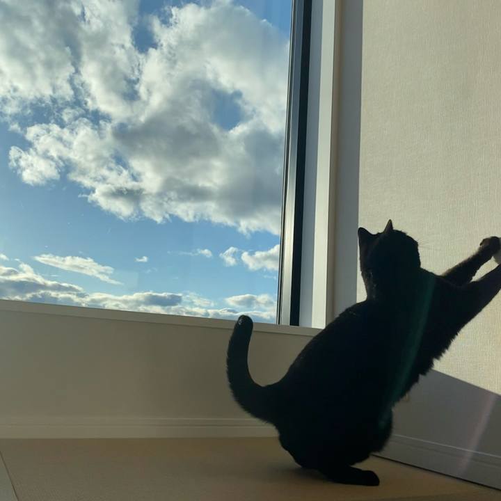 Cf75fb8d 653e 46ad b897 9102088ee5dc 1636784096366