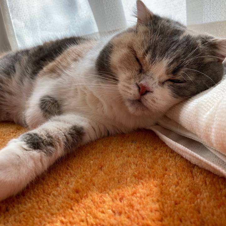 Cf761c3c 932a 49c3 bfd7 c558dc5f647e 1615426397485