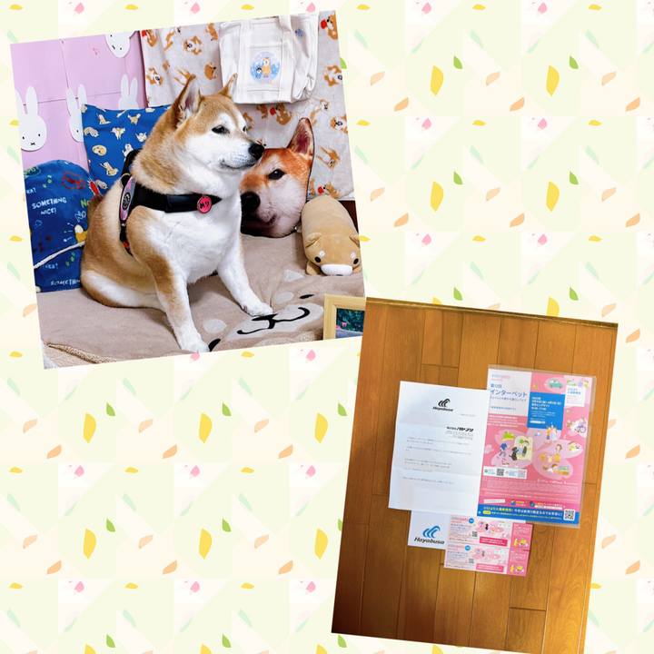 Cf767ee7 e650 4dfe 92b3 6e1cec440f0e 1679297445322