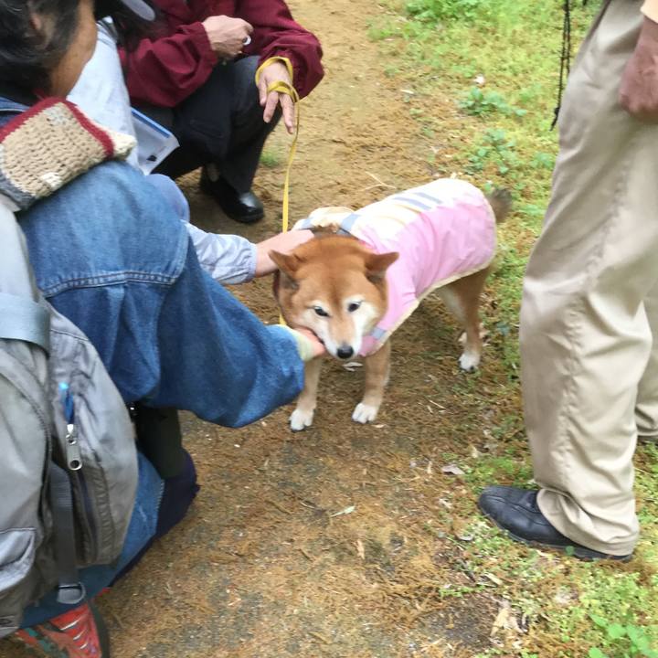 Cf7687a2 2b20 447d 87b3 21fdc2985f28 1556085857040