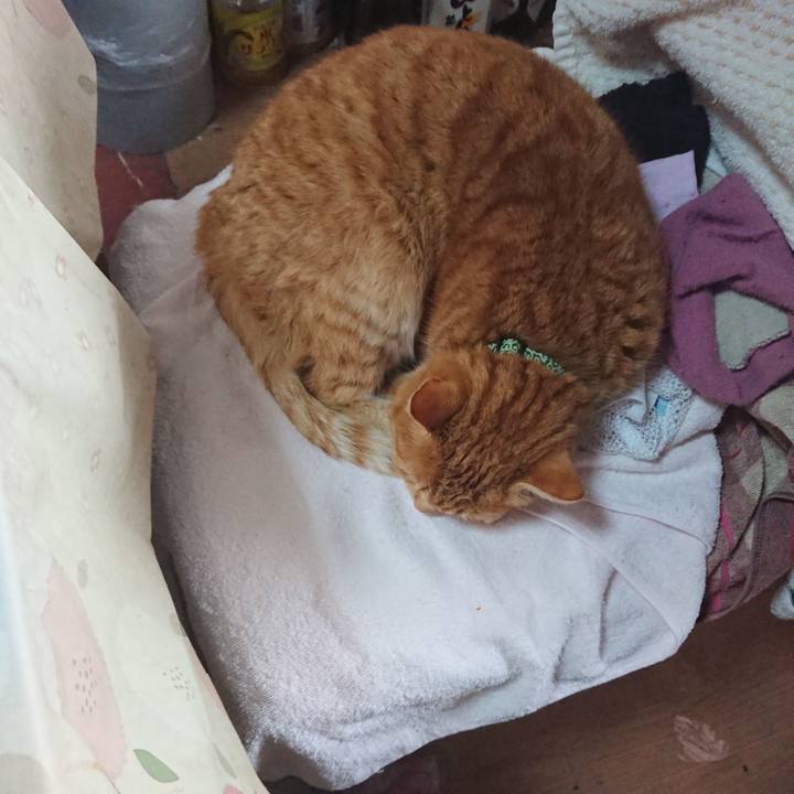 Cf76916f 0e99 4686 8d93 24e801505418 1581117709673