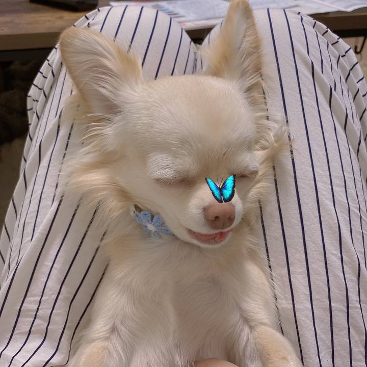 Cf76b0da 568e 4c3c 95ad 8815c175be2d 1619829298611