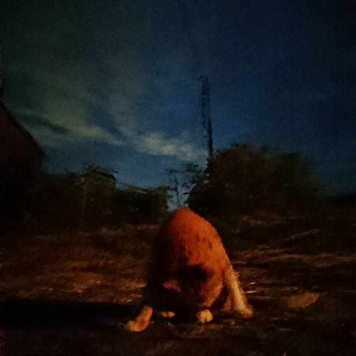 Cf76d084 90b4 4568 a473 097c5dfe8351 1602061581176