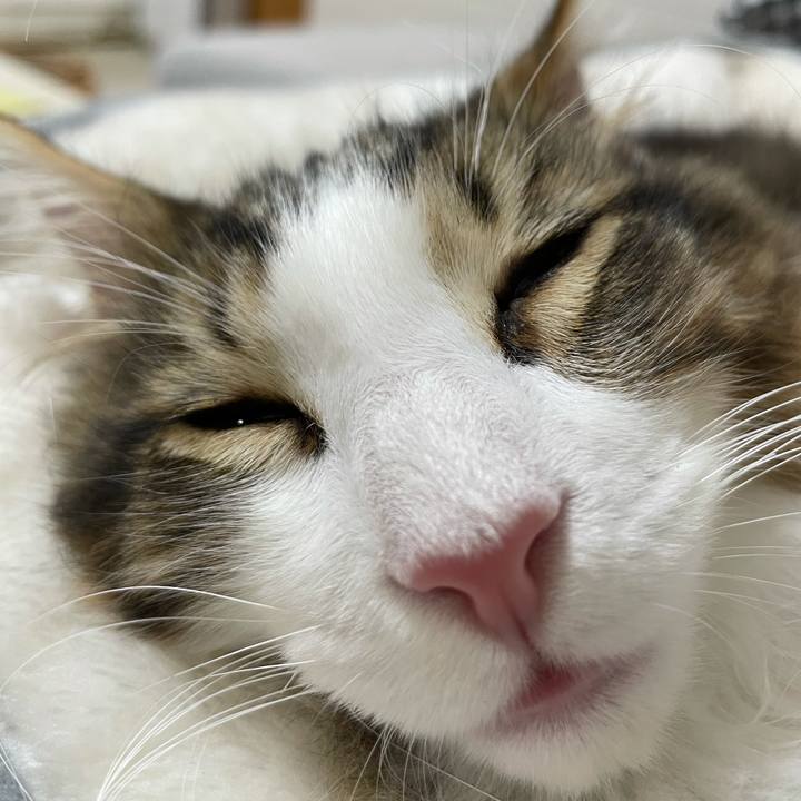 Cf76d28b 743e 4be4 a069 c700eaf4e943 1634372144989