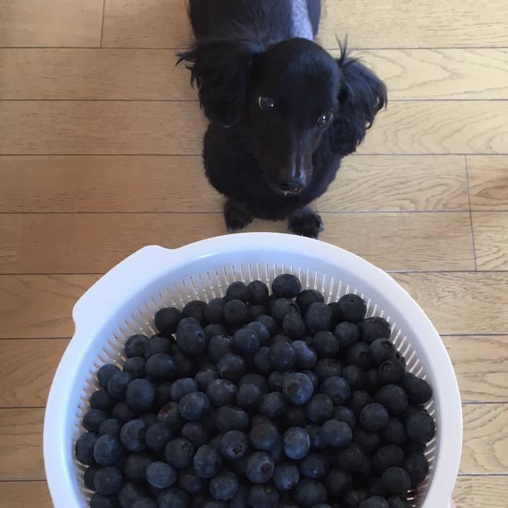 Cf770614 6fdd 4519 bfec 771249599a34 1533340697646