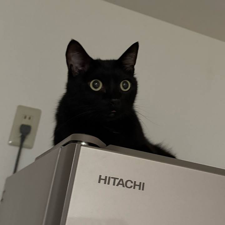 Cf7725be 4295 4796 97aa af0d26ac81d4 1755689088915