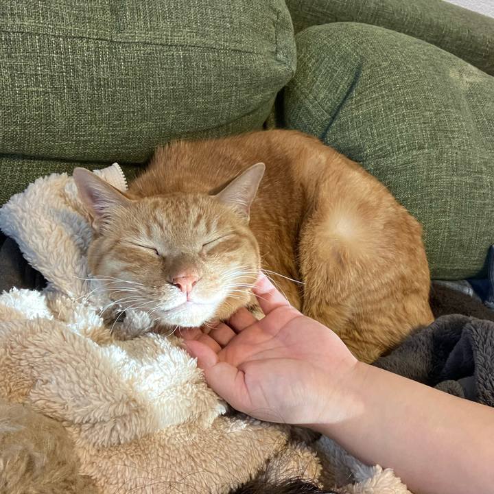 Cf776f4a 4405 4427 824b 72d012fe3250 1765930113337