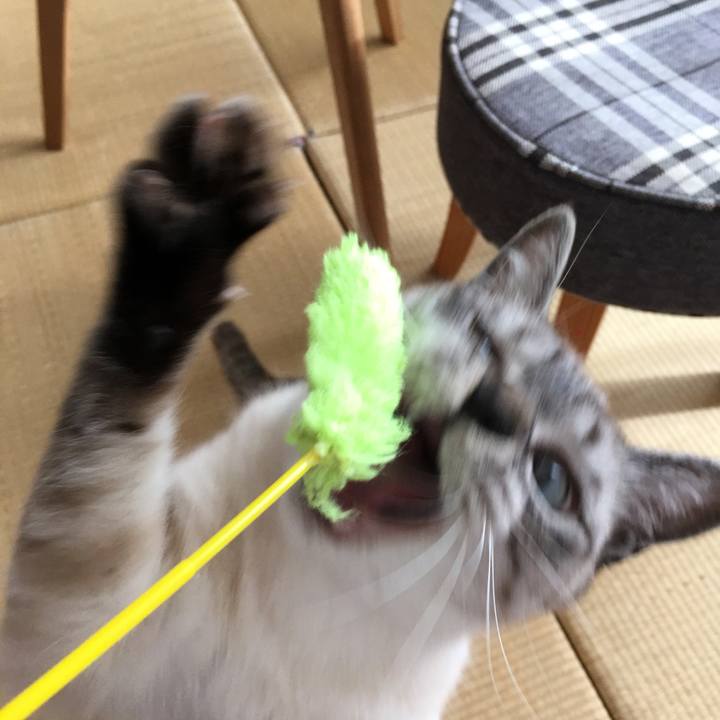 Cf7777e2 0515 47e2 9ac1 9932c1115675 1557354255937