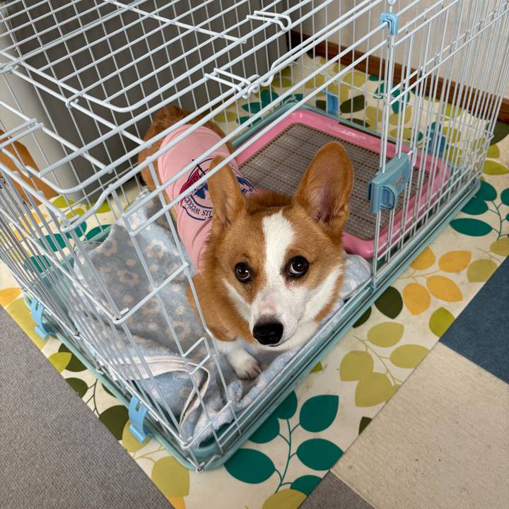 Cf777864 1a14 4170 a31d c581eef45962 1757139110823