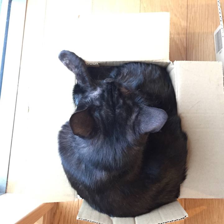 Cf778972 0e1a 45af b9e4 eabf8f106396 1525246134900