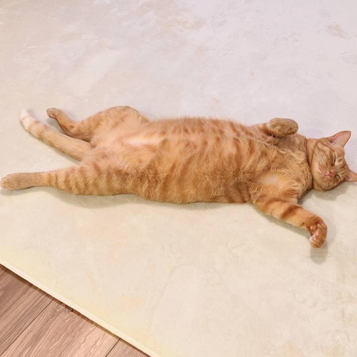 Cf77912c bc53 41de 9ad9 379c596d267a 1625475535344