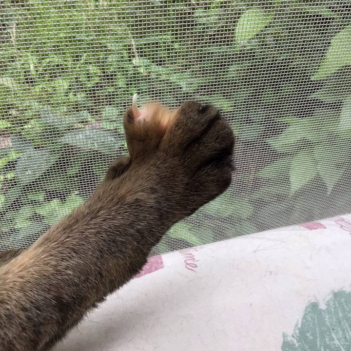 Cf78e300 6c62 471f bcf7 64f9873e4c27 1593915068833