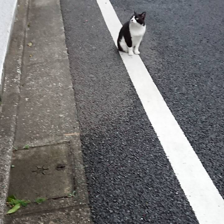 Cf791617 9542 4b66 bf8e 41f3c58471c2 1621344965044