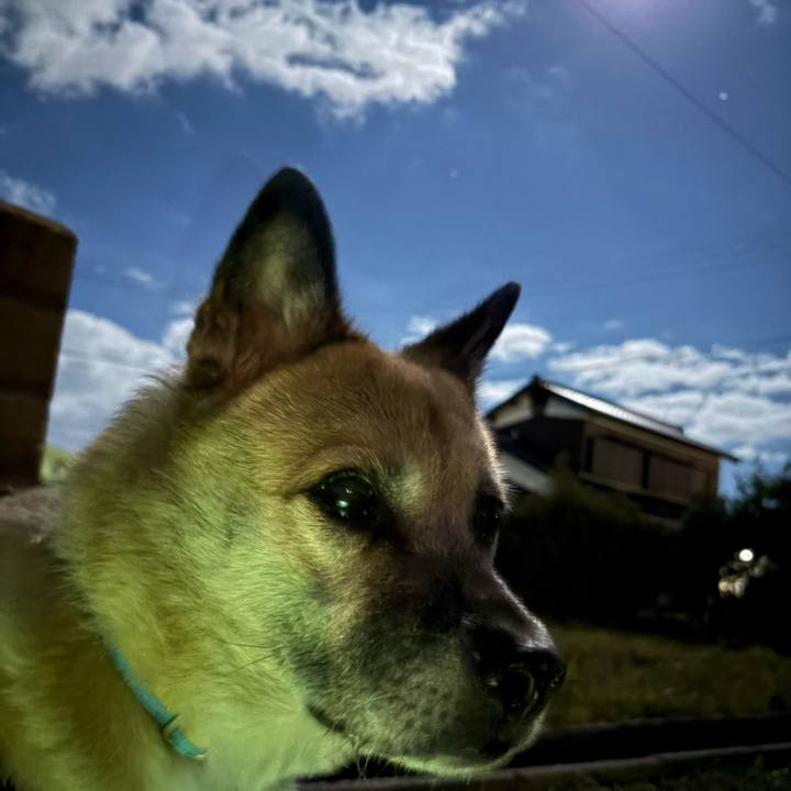 Cf7a2611 7271 4d08 964f a02897bc8a39 1764852993305