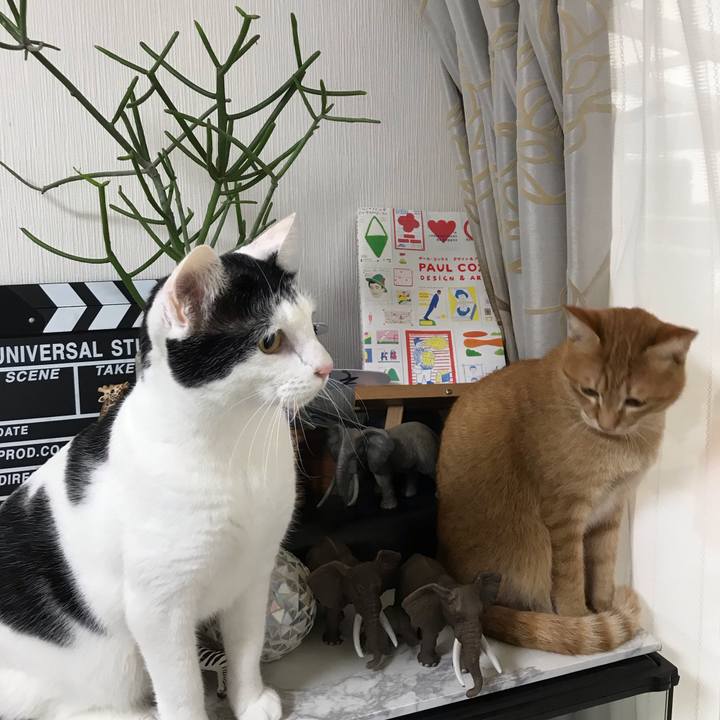 Cf7a3d2d 6b01 4be7 befb ac8b9f951ad7 1542844599187