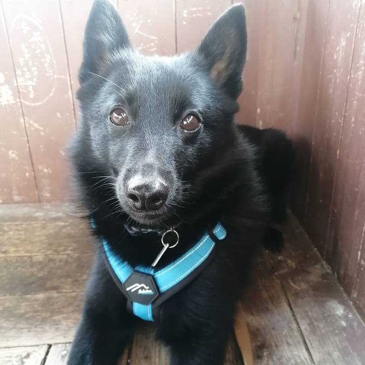 Cf7a4b5b 209d 446d 96f8 db370607a406 1640737606775