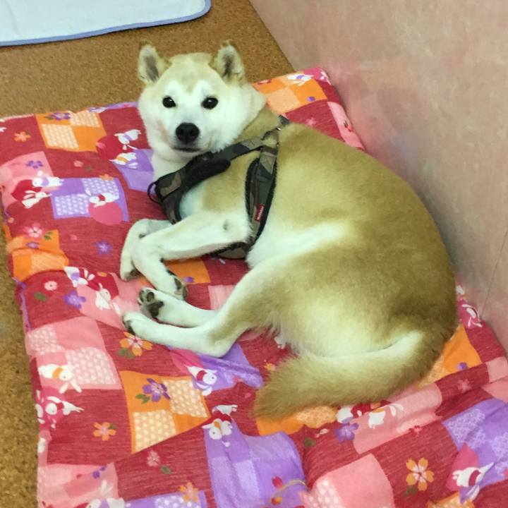 Cf7a51e9 5363 465b 8063 65fd239c2c54 1564223690740