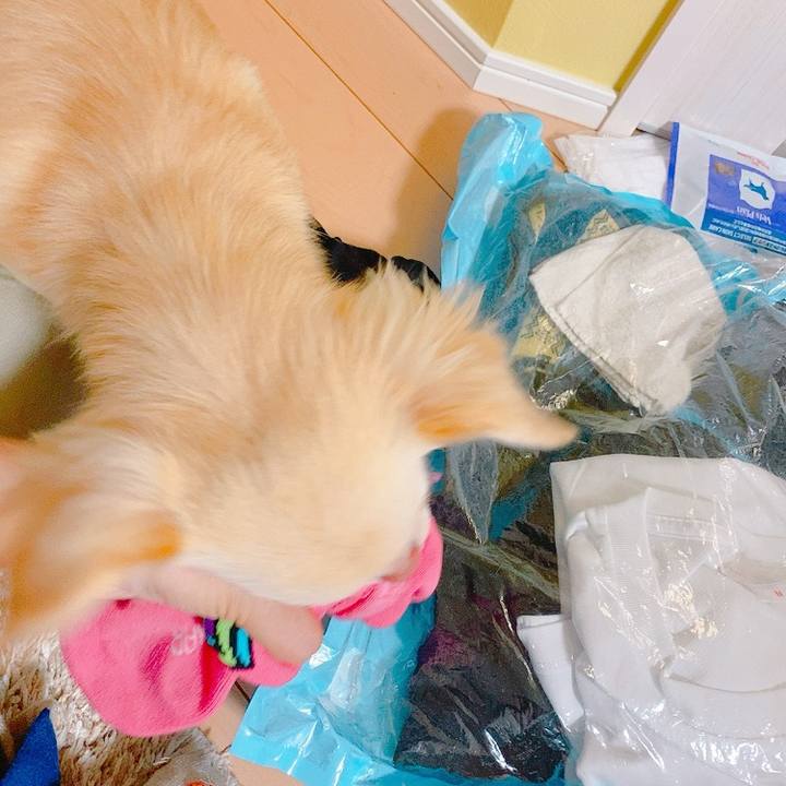 Cf7a5631 bfee 40be 97f7 a7a606973b00 1630550745436