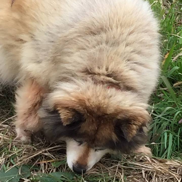 Cf7a5ff9 8f9b 42e8 879a fce8a2e93a92 1637905756243