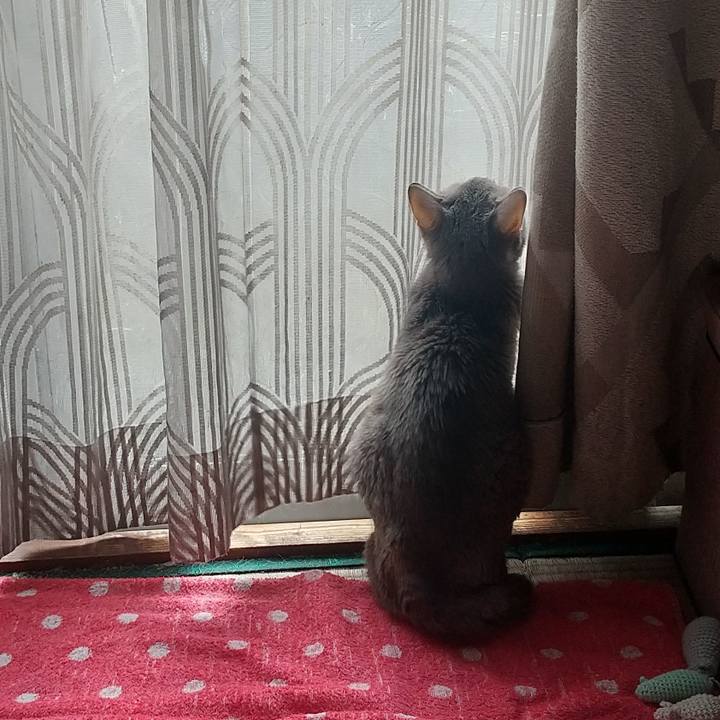 Cf7aae6d 27c4 46d8 9f48 e86d8da83647 1762909433181