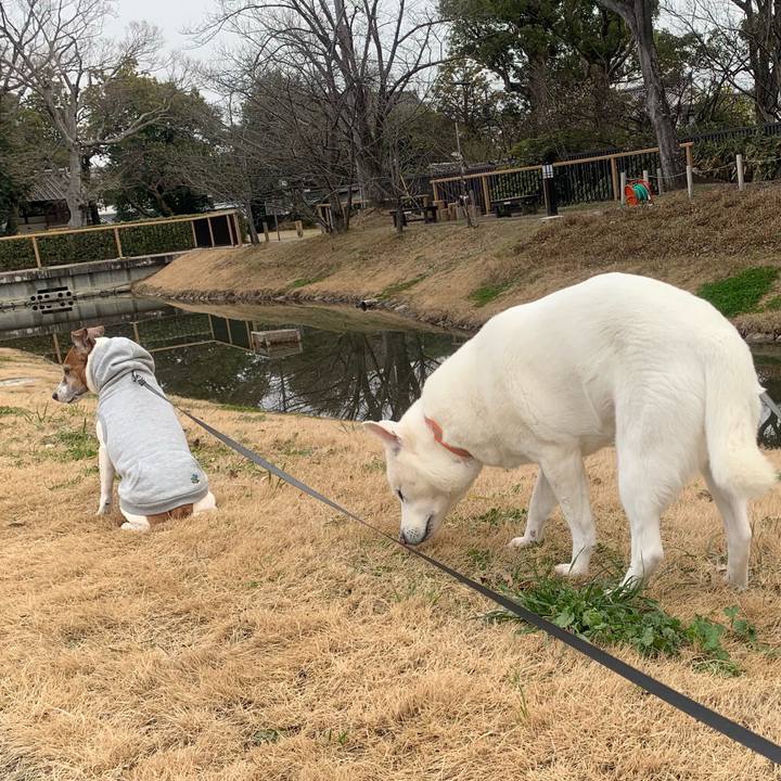 Cf7ae597 9110 4e08 812b c438cba00fb0 1549842488472