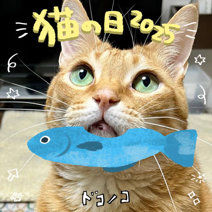 Cf7af486 2660 4924 a3f9 fa664d0e776e 1740118734571