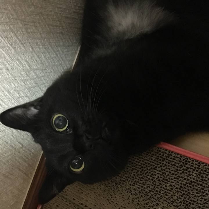 Cf7b1393 fd95 4152 9e41 b19efa5ca6f4 1512386990543