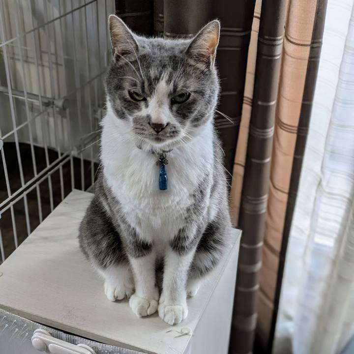 Cf7b157b 9043 4e66 b5ba e02a6caaba0f 1752489708920