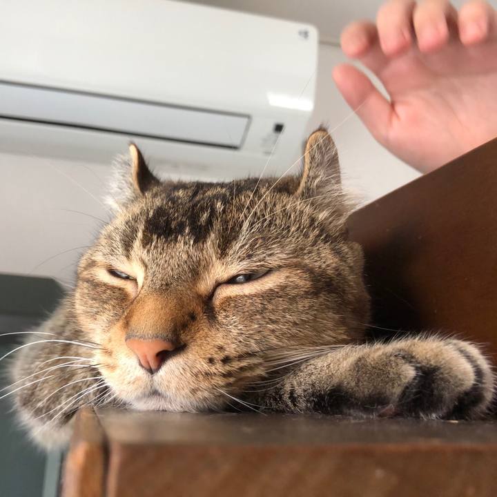 Cf7b1a90 66ec 490f bf52 d507a99e0feb 1623284939625