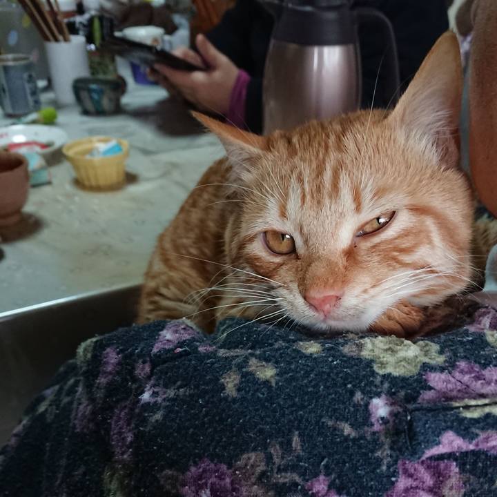 Cf7b48c9 b773 41b3 8d8c c585e745503d 1641018822251