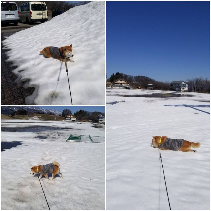 Cf7b52a5 cc96 4b24 a26d d49c35bf2e7b 1679472537840