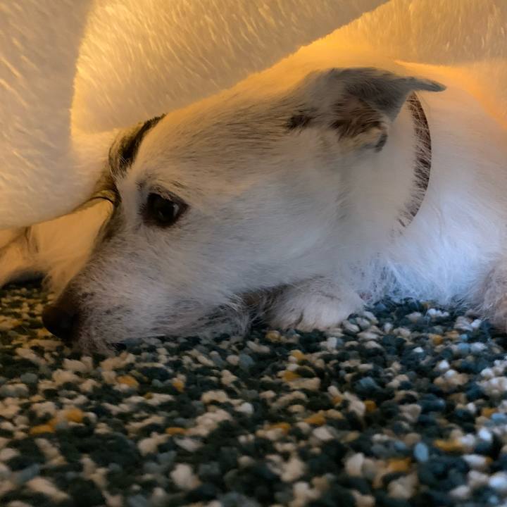 Cf7b5b8a 96cc 43eb b360 36dfea841e9c 1711426471328