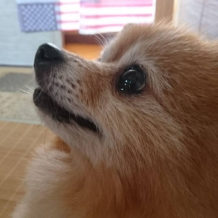 Cf7b71a0 3c53 4c3e 922b 356bdcf64297 1507901668532