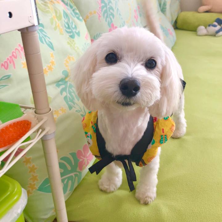 Cf7b8762 aa11 4ae6 a8ad f451c10a686e 1541131855325