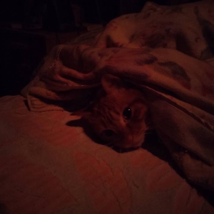 Cf7b9461 56fe 4224 ac8b 68d72e0b58c2 1675724872946